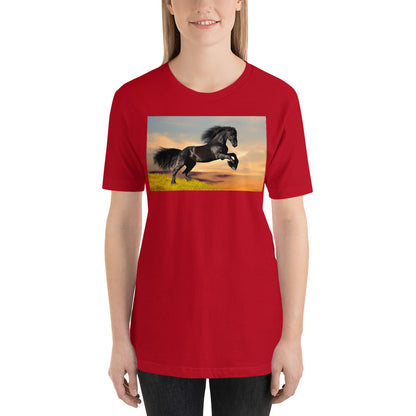 Everyday Elegant Tee - Black Friesian Launching