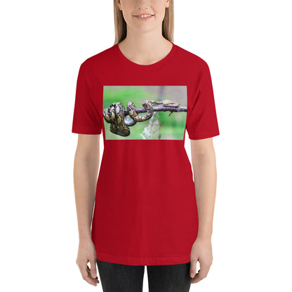 Everyday Elegant Tee - Boa Hanging Out