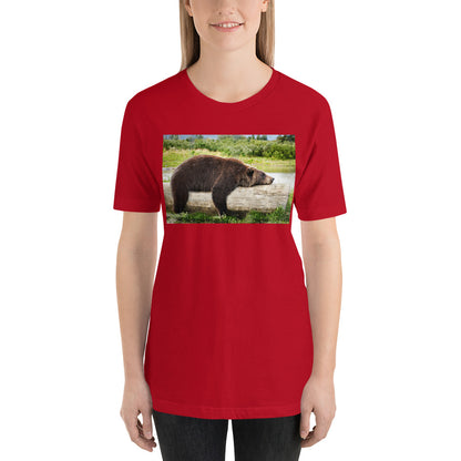 Everyday Elegant Tee - Bump on a Log