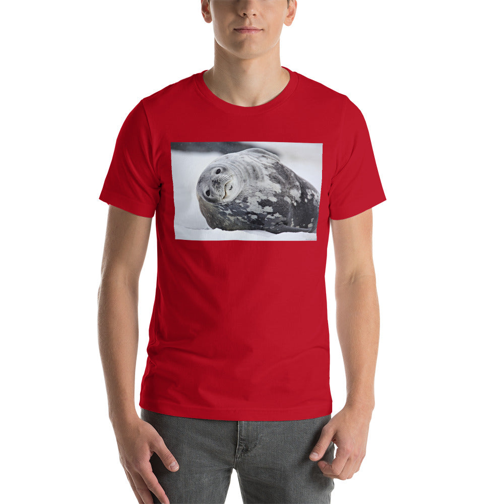 Premium Soft Crew Neck - Lying Sea Lion