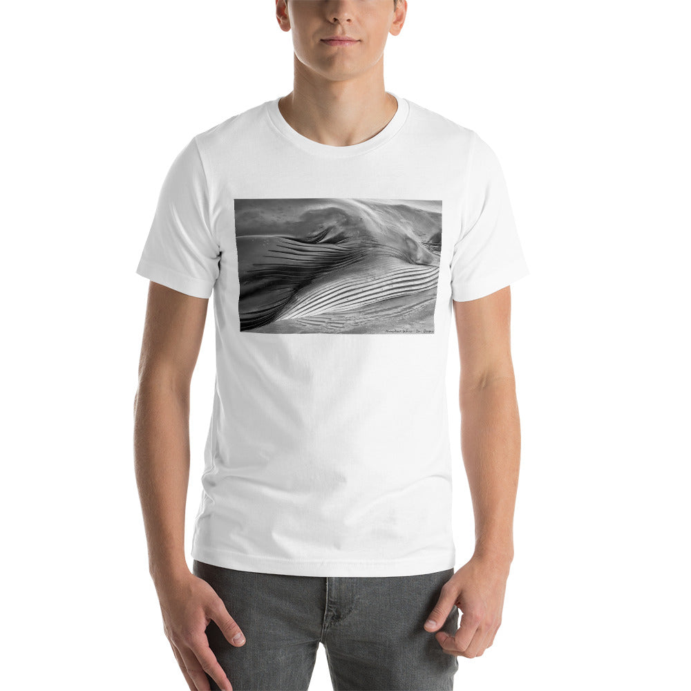 Classic Crew Neck Tee - Eye of the Whale - Ronz-Design-Unique-Apparel