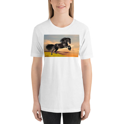 Everyday Elegant Tee - Black Friesian Launching