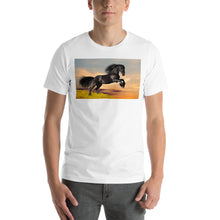 Load image into Gallery viewer, Premium Soft Crew Neck - Black Friesian Launching
