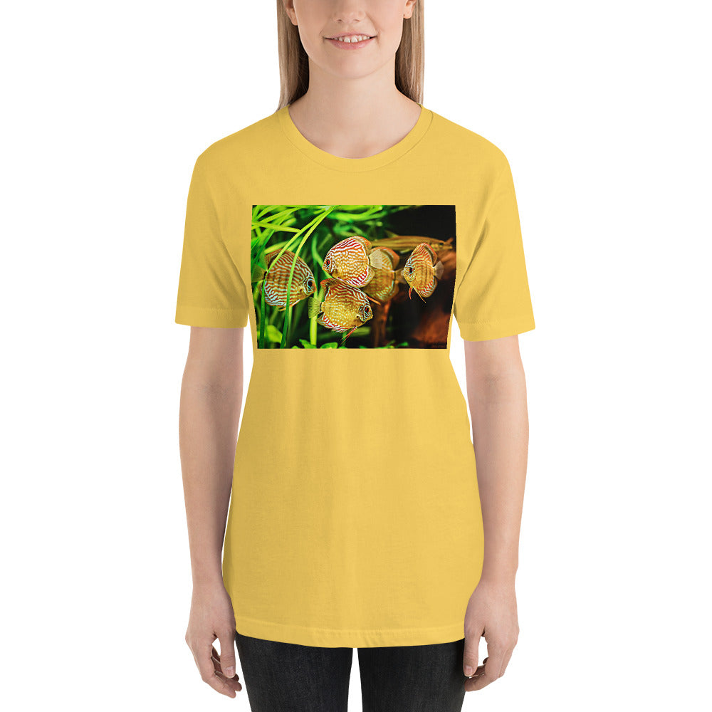 Classic Crew Neck Tee - Discus - Ronz-Design-Unique-Apparel