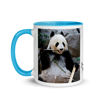 Color Inside 11oz Ceramic Mug - Bamboo Panda