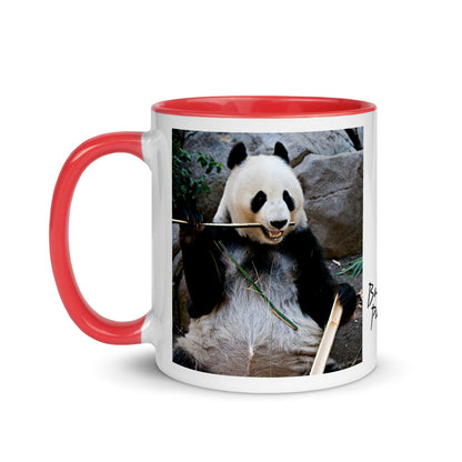 Color Inside 11oz Ceramic Mug - Bamboo Panda