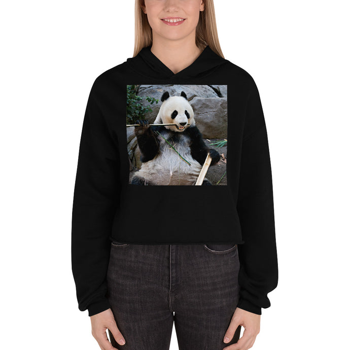 Premium Crop Hoodie - Bamboo Panda - Ronz-Design-Unique-Apparel