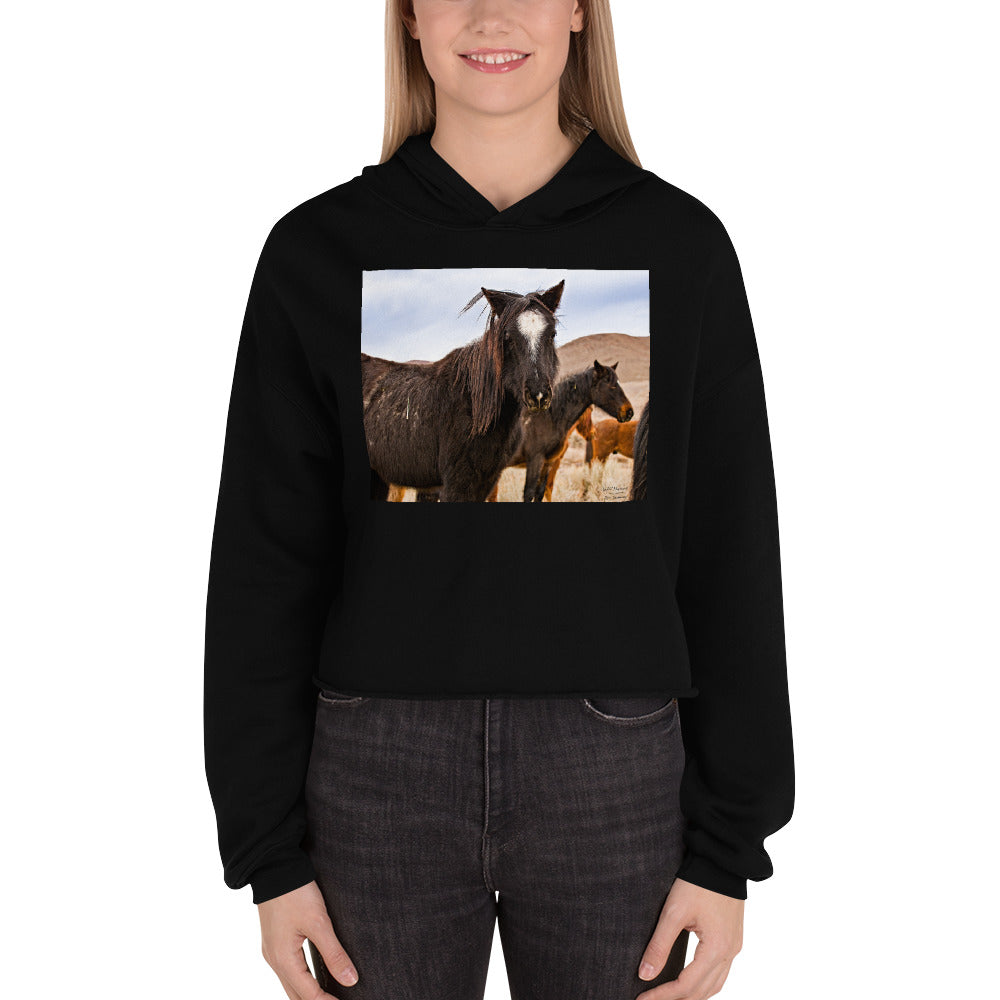 Premium Crop Hoodie - Wild Mustangs - Ronz-Design-Unique-Apparel