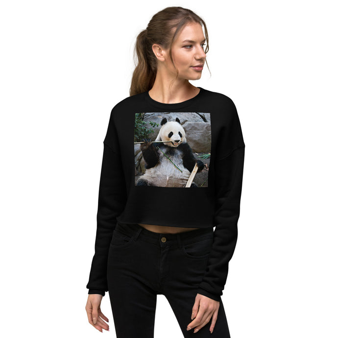 Premium Crop Sweatshirt - Bamboo Panda - Ronz-Design-Unique-Apparel