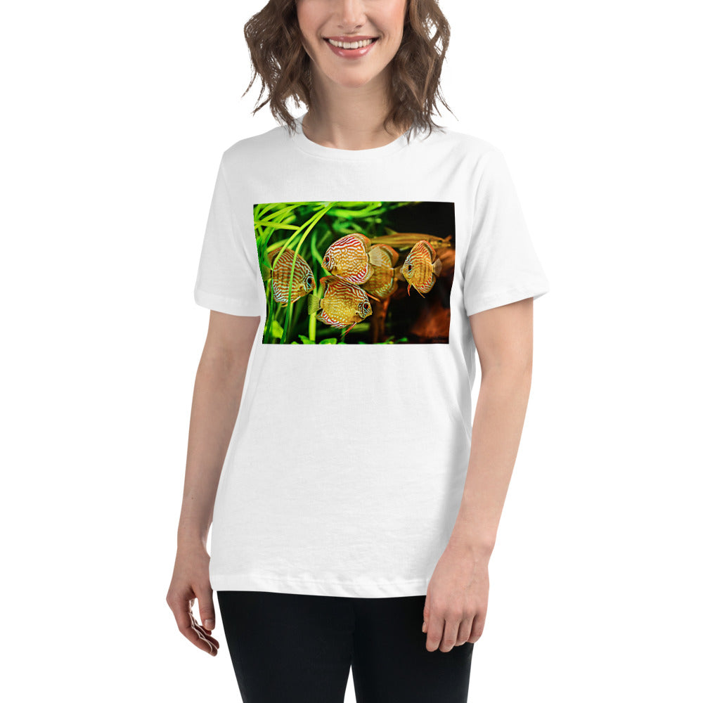 Premium Soft Crew Neck - Amazon Discus