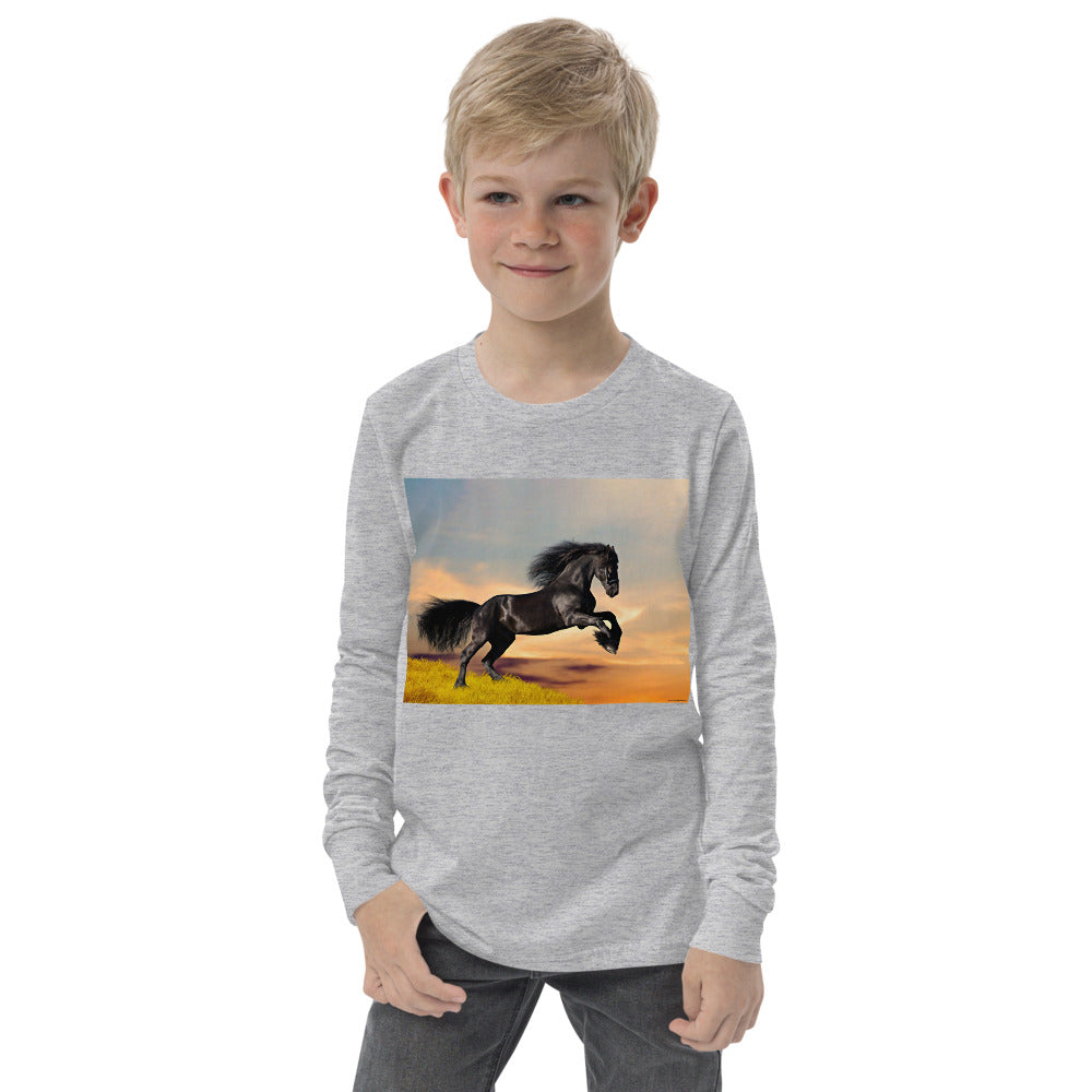 Premium Soft Long Sleeve - Friesian Stallion Lift Off