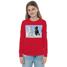 Load image into Gallery viewer, Premium Soft Long Sleeve - Black &amp; White Stallions Flying
