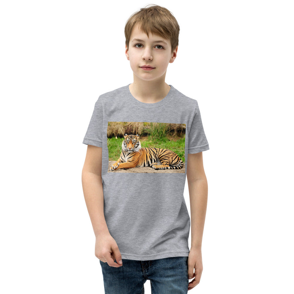 Premium Soft Crew Neck - Big Cat