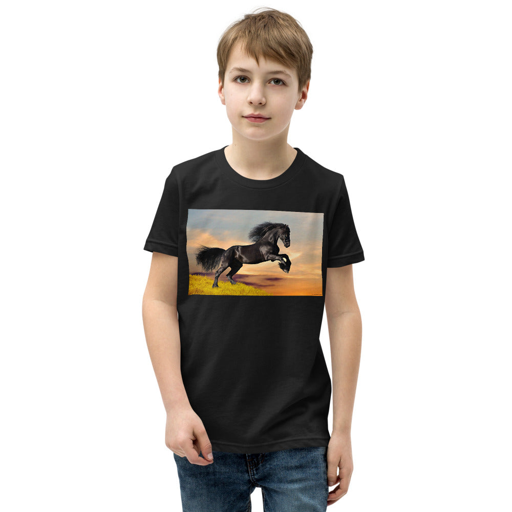 Premium Soft Crew Neck - Black Friesian