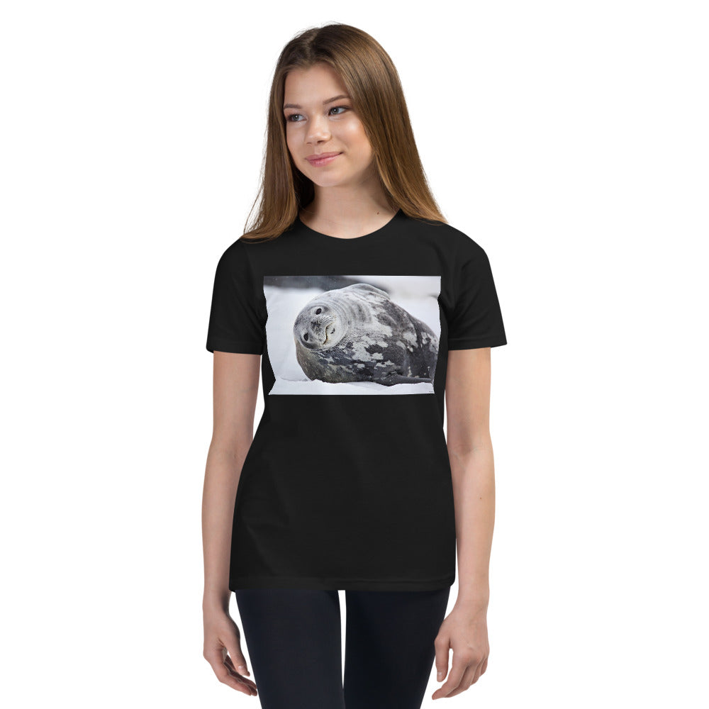 Premium Soft Crew Neck - Lying Sea Lion