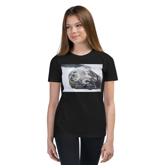 Premium Soft Crew Neck - Lying Sea Lion