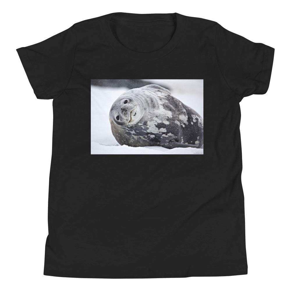 Premium Soft Crew Neck - Lying Sea Lion