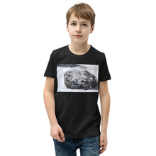 Load image into Gallery viewer, Premium Soft Crew Neck - Lying Sea Lion
