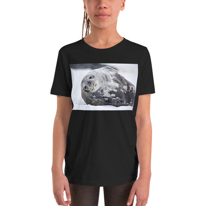 Premium Soft Crew Neck - Lying Sea Lion