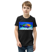 Load image into Gallery viewer, Premium Soft Crew Neck - Parrot Fish
