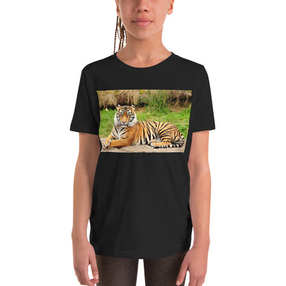 Premium Soft Crew Neck - Big Cat