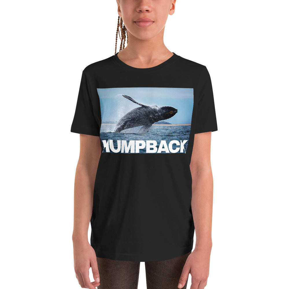 Premium Soft Crew Neck - A Lotta Whale