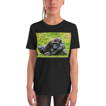 Load image into Gallery viewer, Premium Soft Crew Neck - Gorilla in the Grass

