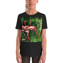 Load image into Gallery viewer, Premium Soft Crew Neck - Pink Flamingos
