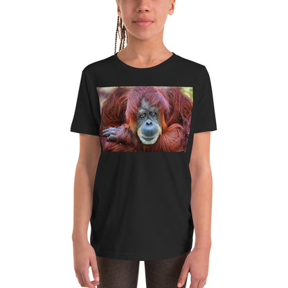 Premium Soft Crew Neck - Natural Redhead Orangutan