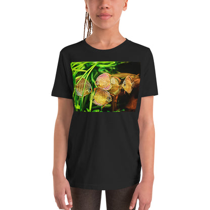 Premium Soft Crew Neck - Amazon Discus