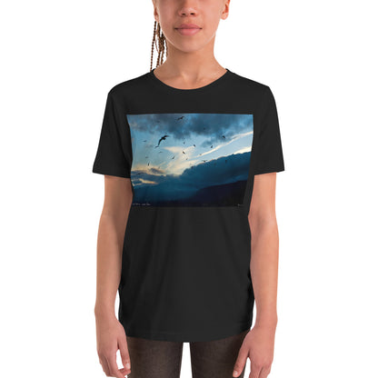 Premium Soft Crew Neck - Bird Storm at Lake Tahoe