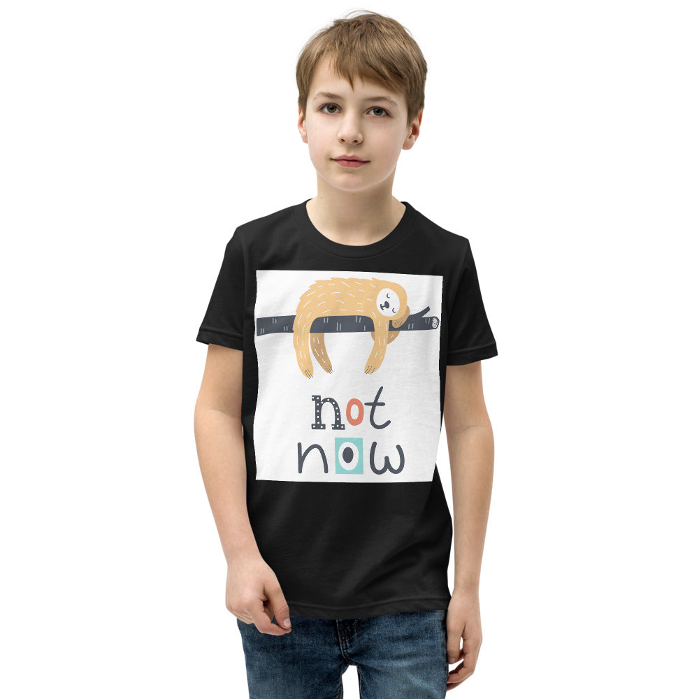 Premium Soft Crew Neck - Not Now!