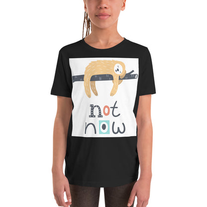 Premium Soft Crew Neck - Not Now!