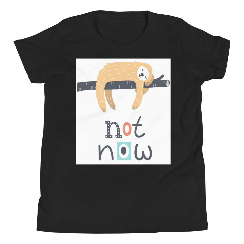 Premium Soft Crew Neck - Not Now!