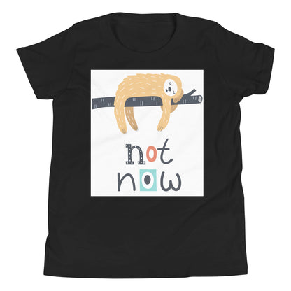 Premium Soft Crew Neck - Not Now!