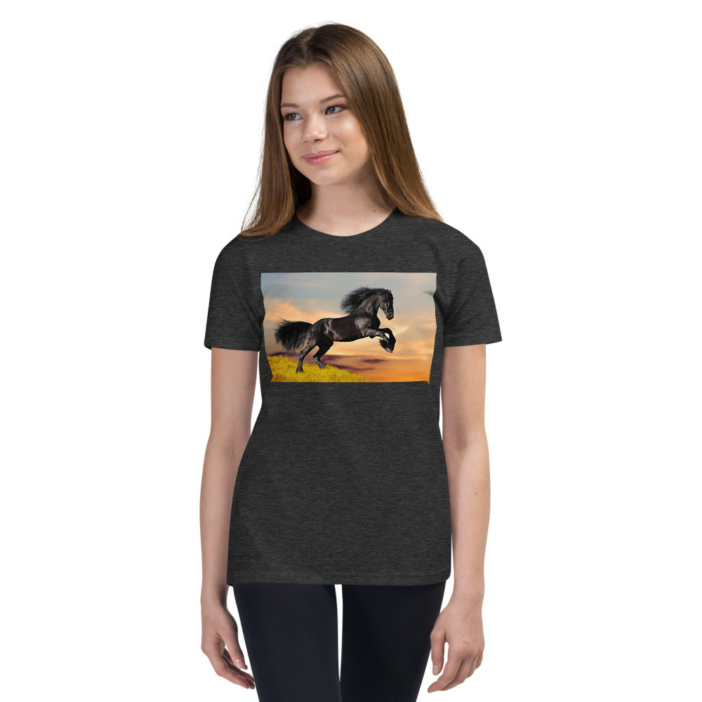 Premium Soft Crew Neck - Black Friesian