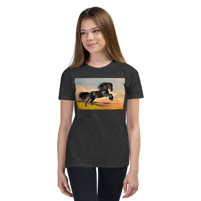 Premium Soft Crew Neck - Black Friesian