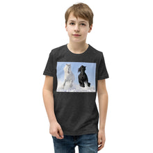 Load image into Gallery viewer, Premium Soft Crew Neck - Black &amp; White Stallions Flying
