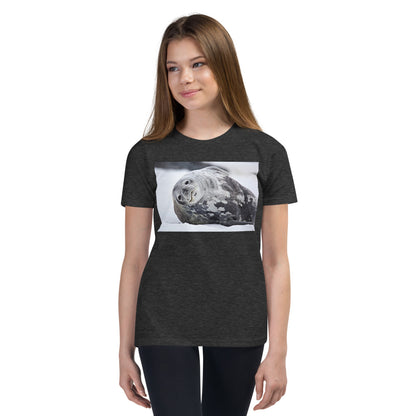 Premium Soft Crew Neck - Lying Sea Lion