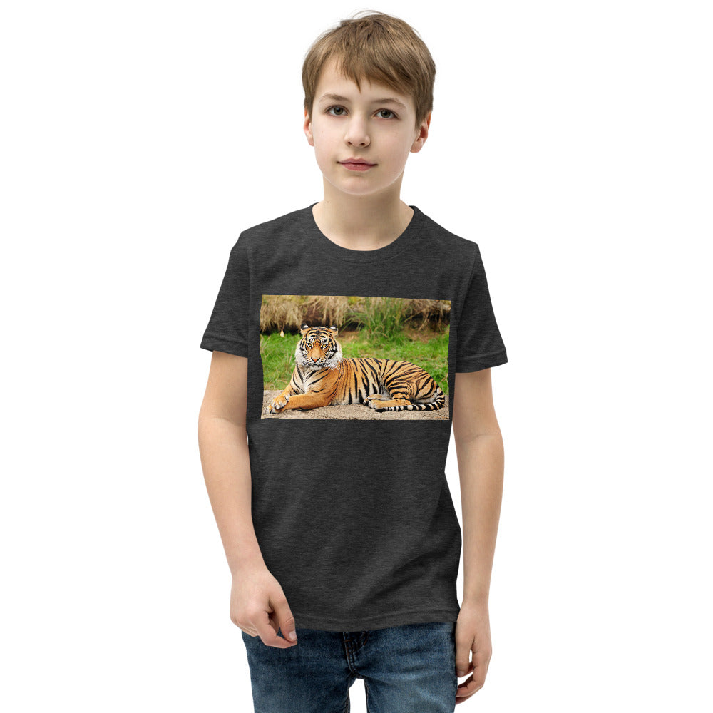 Premium Soft Crew Neck - Big Cat