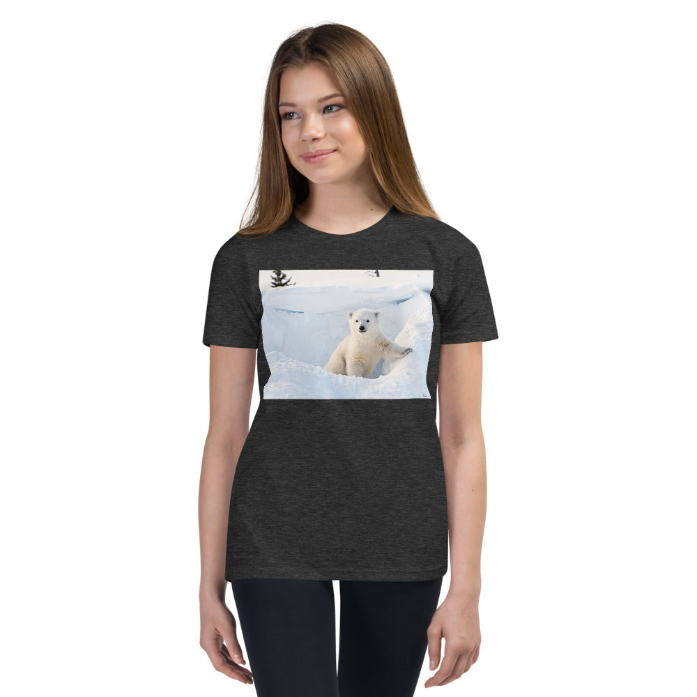 Premium Soft Crew Neck - Hi There!