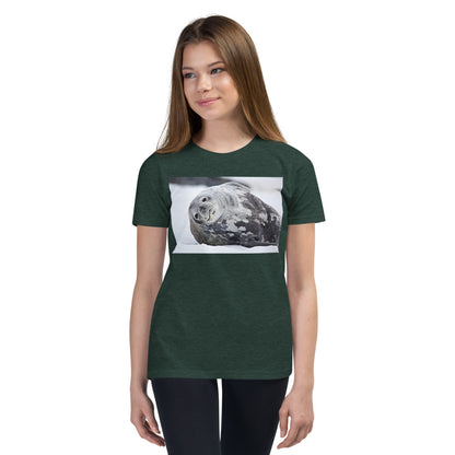 Premium Soft Crew Neck - Lying Sea Lion