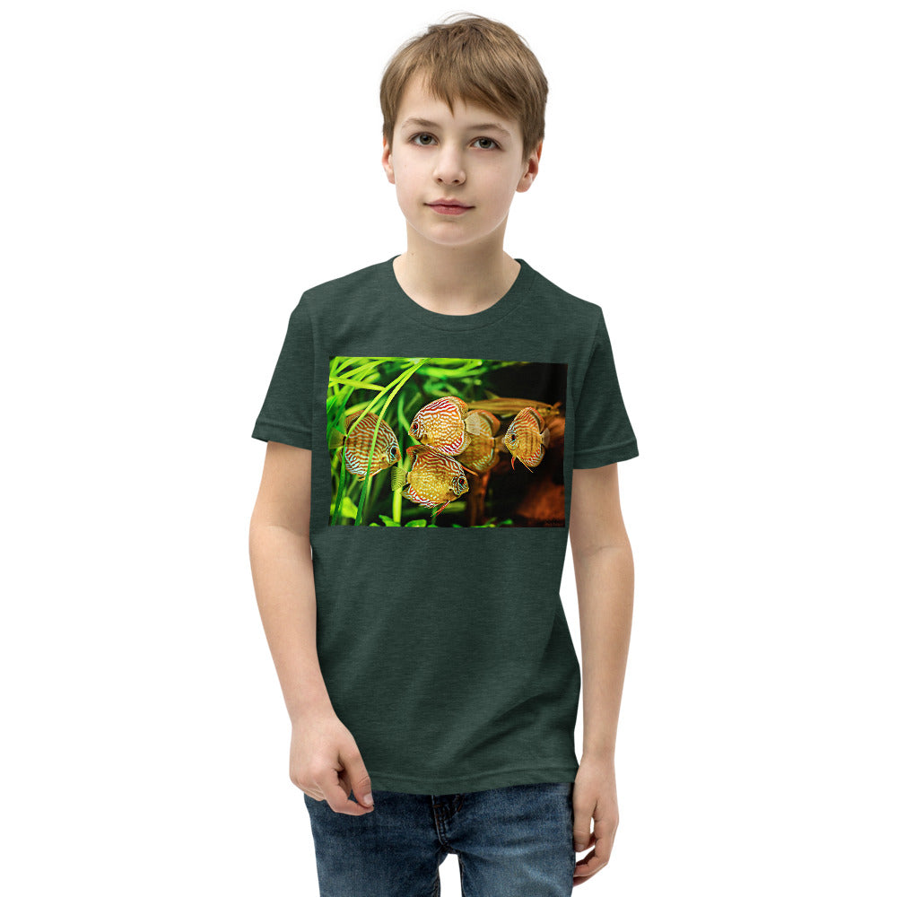 Premium Soft Crew Neck - Amazon Discus