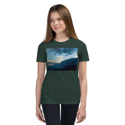 Premium Soft Crew Neck - Bird Storm at Lake Tahoe