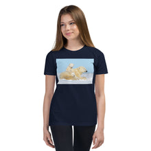 Load image into Gallery viewer, Premium Soft Crew Neck - Polar Family
