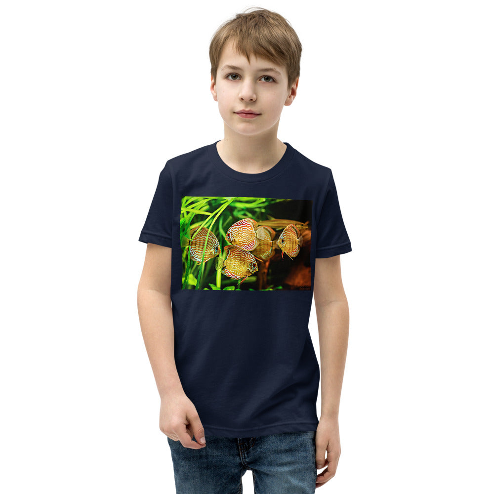 Premium Soft Crew Neck - Amazon Discus