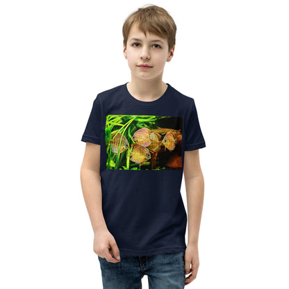 Premium Soft Crew Neck - Amazon Discus