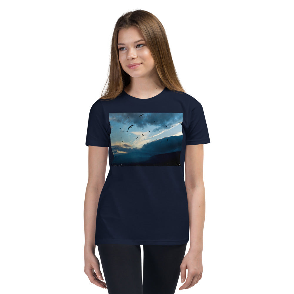 Premium Soft Crew Neck - Bird Storm at Lake Tahoe