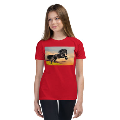 Premium Soft Crew Neck - Black Friesian