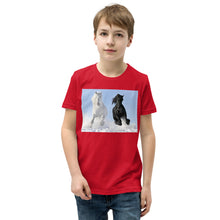 Load image into Gallery viewer, Premium Soft Crew Neck - Black &amp; White Stallions Flying
